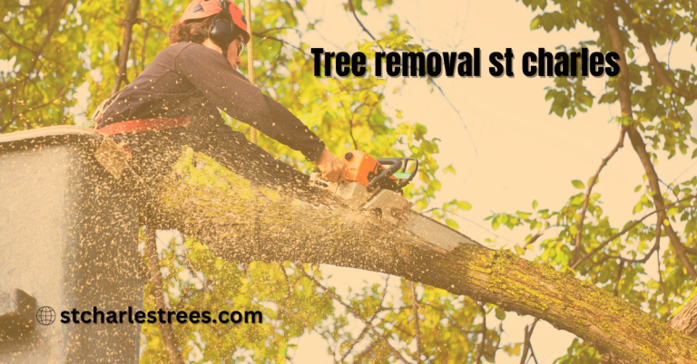 St. Charles Tree Removal: Trained Specialists for Safe and Timely Services